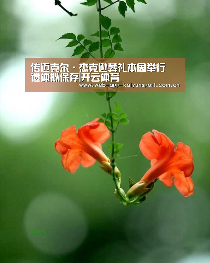 传迈克尔·杰克逊葬礼本周举行 遗体拟保存|开云体育(图2) 开云体育