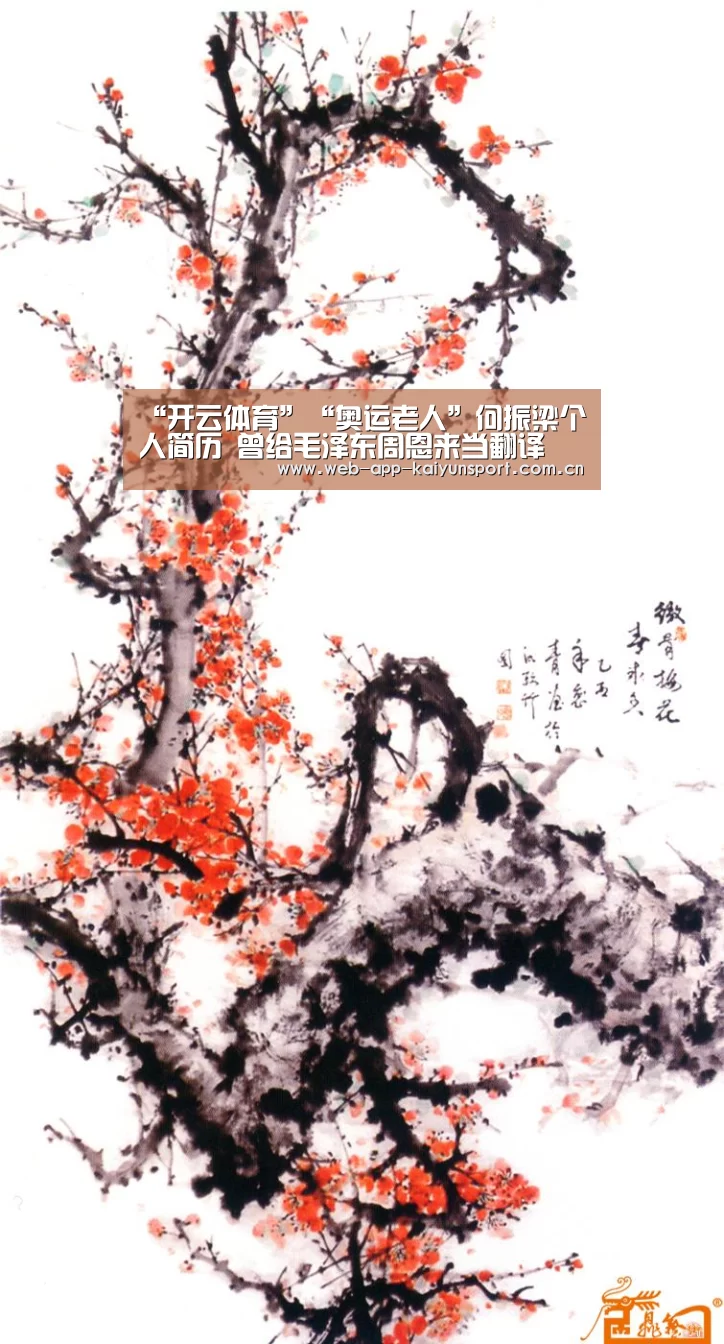 开云体育