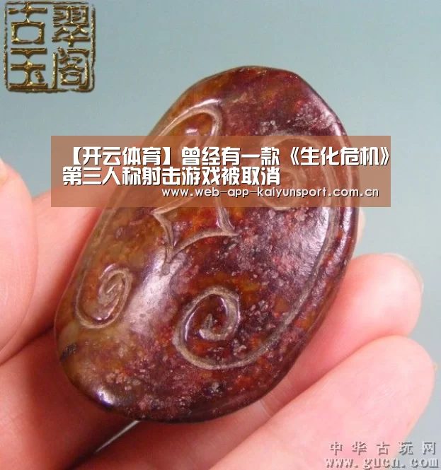 【开云体育】曾经有一款《生化危机》第三人称射击游戏被取消(图4) 开云体育